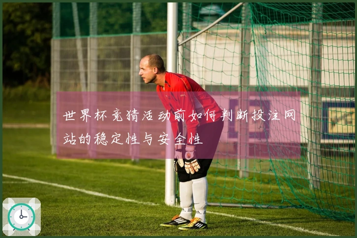 世界杯竞猜活动前如何判断投注网站的稳定性与安全性