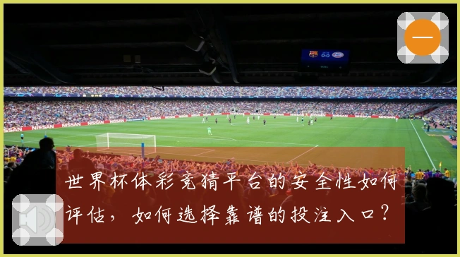 世界杯体彩竞猜平台的安全性如何评估，如何选择靠谱的投注入口？