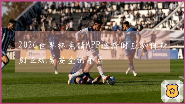 2026世界杯竞猜APP选择时应如何辨别正规与安全的平台