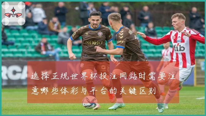 选择正规世界杯投注网站时需要注意哪些体彩与平台的关键区别