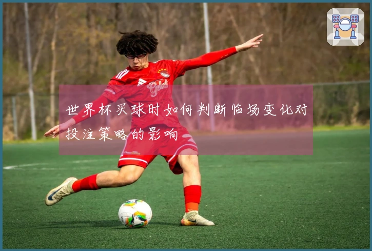 世界杯买球时如何判断临场变化对投注策略的影响