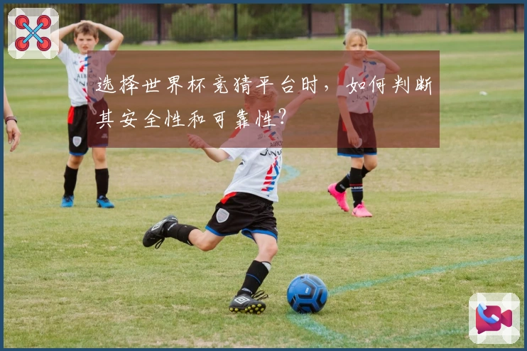 问鼎pg体育资讯图片