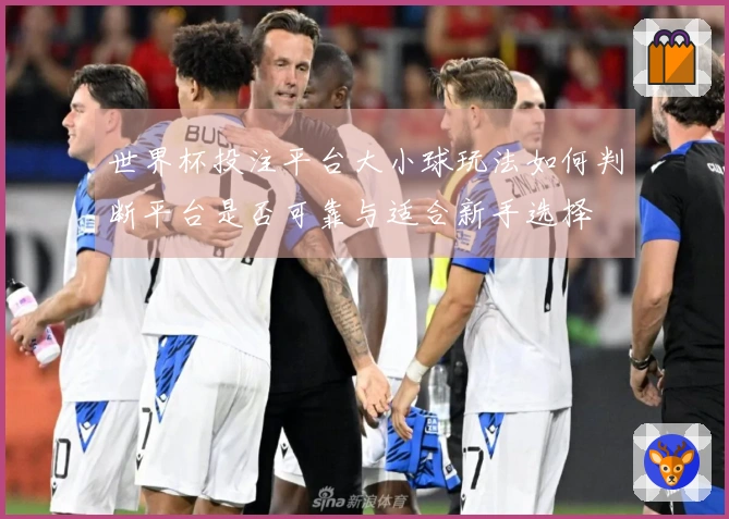 世界杯投注平台大小球玩法如何判断平台是否可靠与适合新手选择