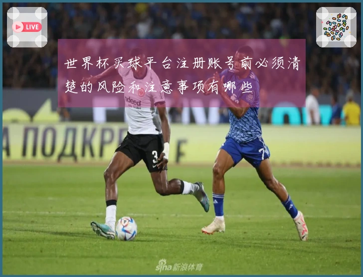 世界杯买球平台注册账号前必须清楚的风险和注意事项有哪些
