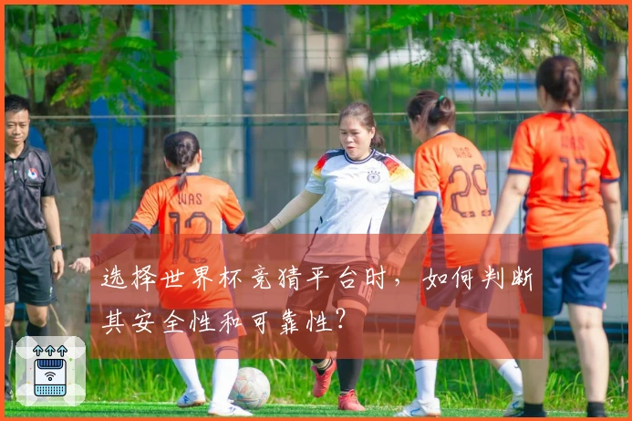 选择世界杯竞猜平台时，如何判断其安全性和可靠性？