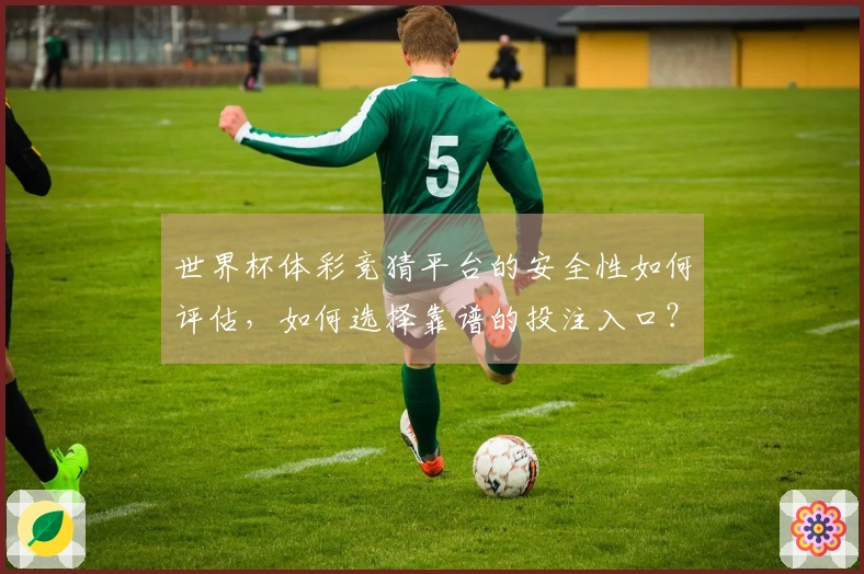 世界杯体彩竞猜平台的安全性如何评估，如何选择靠谱的投注入口？